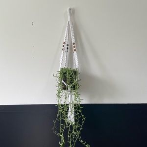 White and brown beaded macrame plant hanger